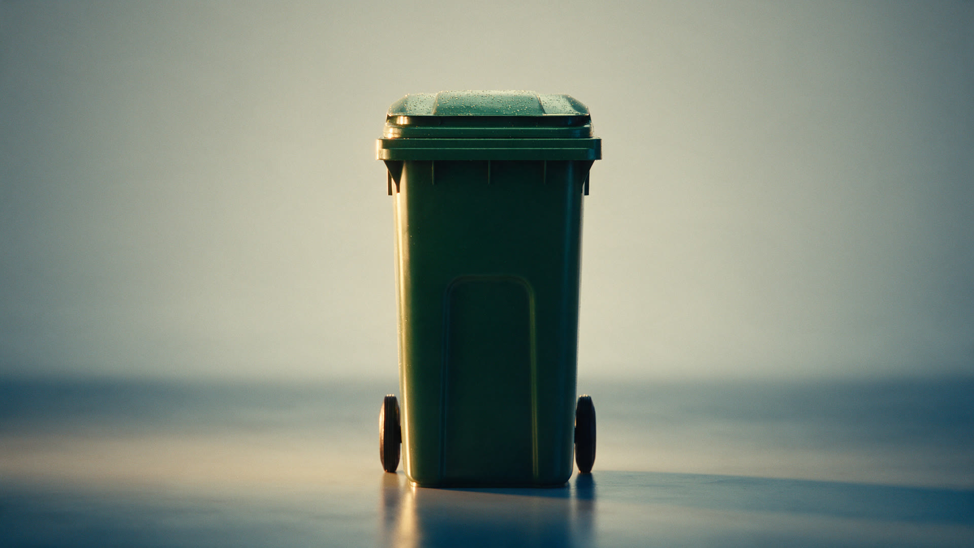 A pristine wheelie bin on a clean studio backdrop